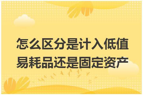 怎么区分是计入低值易耗品还是固定资产